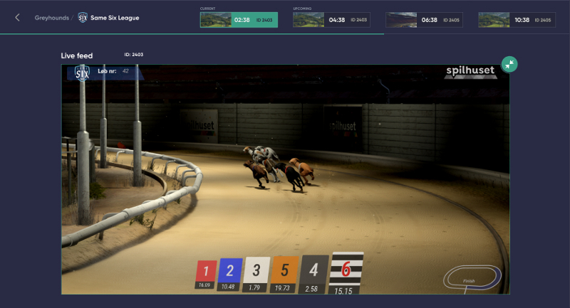 image extraite des courses de chiens virtuelles de Gamblify