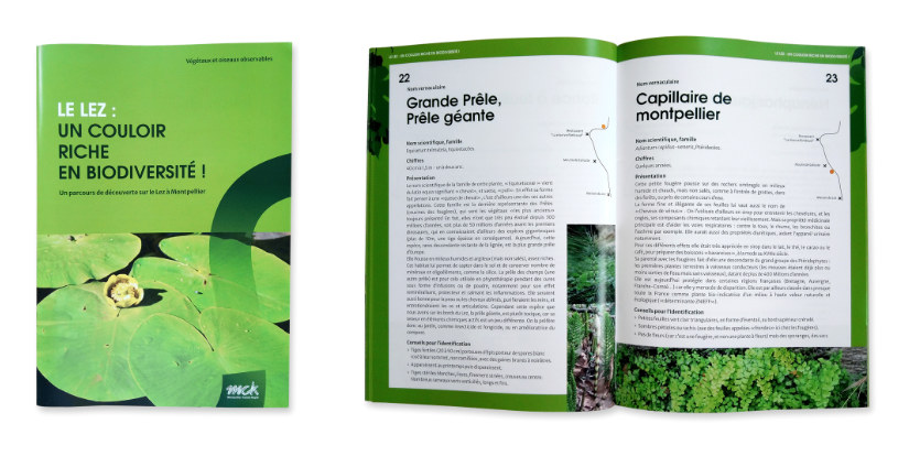 Graphisme d’un livret sur la biodiversité du fleuve Lez à Montpellier.