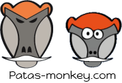 Logo des PatasMonkey.com